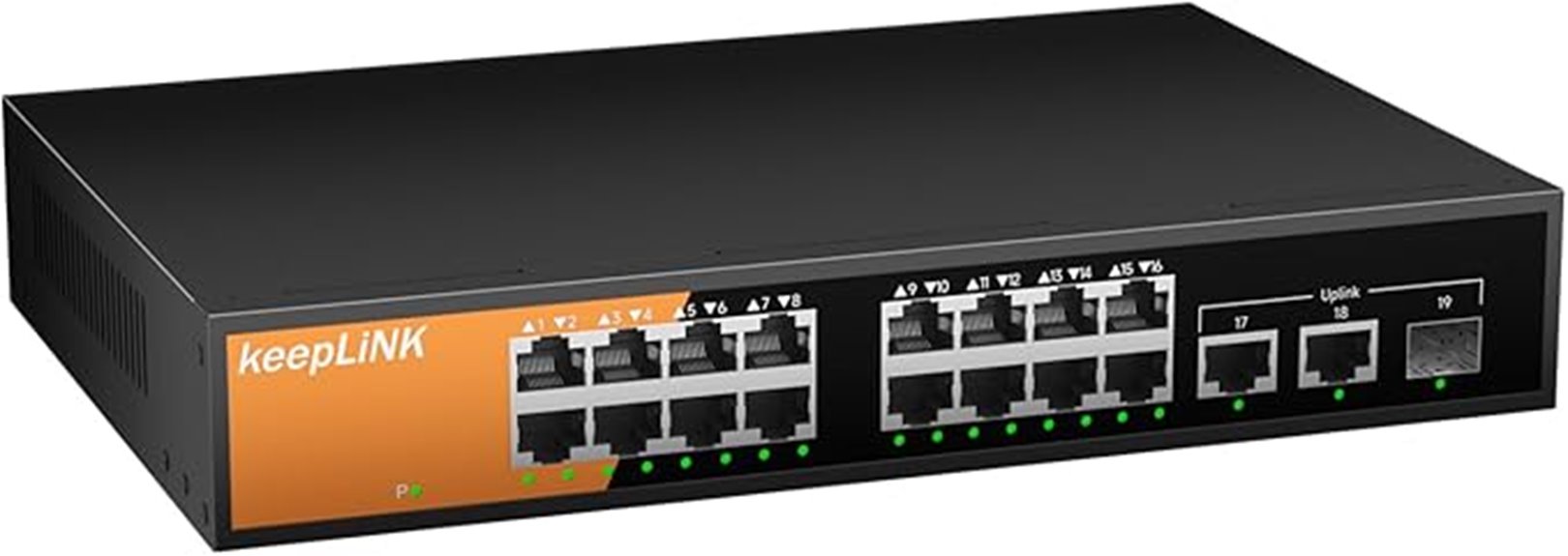 sixteen port poe switch
