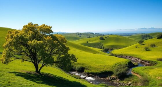 environmental planning considerations