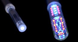 fiber type comparison