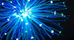 homemade fiber optic lamp