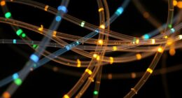 light transmission through fibers