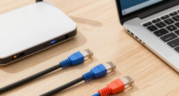 13 Best High-Speed Ethernet Cables in 2026